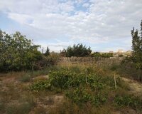 Sumqayıt Saray bağları torpaq sahəsi satılır 4 otaq , Sumqayıtda