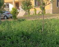 Xızı Xələnc kəndi 3 otaq , Xızıda
