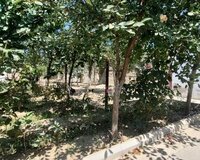 mastaga savalan, 3 otaq , Sabunçu rayonu