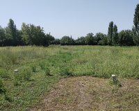Qəbələ rayonu Tüntül kəndi, 12 sot