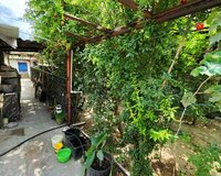 Sabunçu rayonu Maştağa qəsəbəsi, 4 otaq