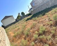 Buzovna albalılıq, 8 sot , Xəzər rayonu