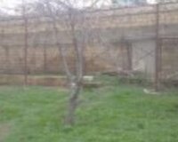 Badamdar qesebesi 2 ci massiv, 1 otaq , Səbail rayonu