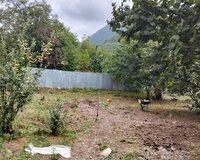 Qebele Rayonu Akif Yüsüfov küçesi, 5 sot