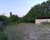 Quba rayon Ərməki kənd, 12 sot