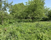 İsmayıllı rayonu 1ci yeniyol, 10 sot