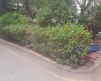 Bileceri Dsk yolu, 1 комната , Binəqədi район