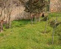 Bileceri qesebesi, 1 otaq , Binəqədi rayonu