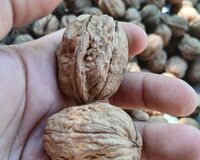 Ismayilli rayon Qoşakənd kəndi 2 otaq , İsmayıllıda