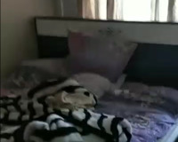 Bakıxanov qəsəbəsi, 2 otaq , Sabunçu rayonu