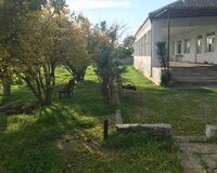 H25V+49J Bilgəh, 4 otaq , Sabunçu rayonu