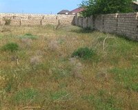 Türkan qəsəbəsi, 1 otaq , Abşeron rayonu