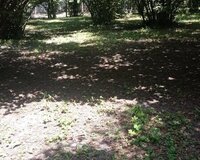 Qax Rayon Meşabaş kənd 45 sot , Qaxda