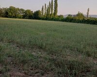 Şəki şəhəri Aşağı Küngüt kəndi 80 sot , Şəkidə