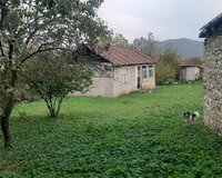 Şmaxı qaleybuğurd, 10 sot , Şamaxıda