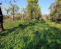 Qebele nesimi kucesi 1 otaq , Qəbələdə