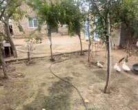 M. Namazov Küçəsi 3 otaq , Xəzər rayonu