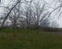 Qəbələ rayonu, Hacıalılı (Çarxana) kəndi Qəbələ Hava limanı ilə üzbəüz 30 sot , Qəbələdə