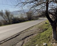 Quba rayonu pusteqasim kendi(tengealti yolunun üstü), 14 sot