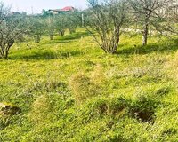 Novxanı bağlar massivi 3 otaq , Abşeron rayonu