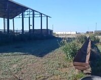 Neftçala şəhəri 20 otaq , Neftçalada