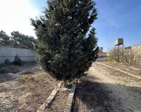 Mərdəkan Vətən restoranı 1 otaq , Xəzər rayonu