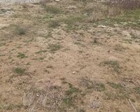 Nardaran qəsəbəsi 12 sot , Sabunçu rayonu