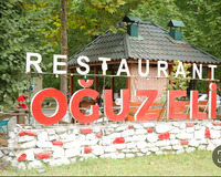 Şəki-Qəbələ yolu 7a 10 otaq , Oğuzda