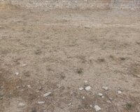 Şüvəlan Gülçülük 12 sot , Xəzər rayonu