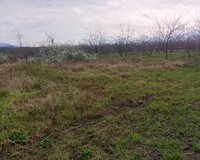 Quba Rayonunun Pirvahid Kəndində 20 otaq , Qubada