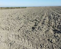 Şabran rayonu ərazisi 1 otaq , Şabranda