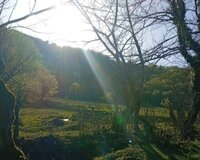 Qebele Vendam Girve 12 sot , Qəbələdə