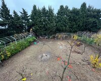 Novxanı Sarı qaya 1 otaq , Abşeron rayonu