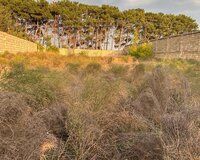 Göradil qəs, 8 sot , Abşeron район