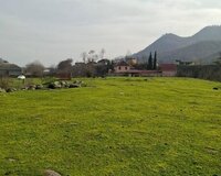 Lənkəran rayonu, Şovu kəndi 49 sot , Lənkəranda