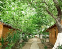 Hacıqabul İpək yolu kənarı 20 otaq , Hacıqabulda