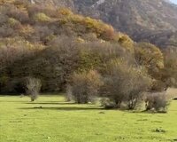 Baş Daş-ağıl kəndi 1 otaq , Oğuzda