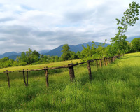 Qəbələ rayonu Tüntül kəndi 114 sot , Qəbələdə