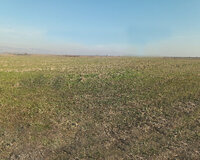 Ağdaş rayon Yeniarx kəndi 9290 sot , Ağdaşda