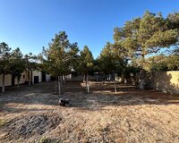 Mərdəkan qəsəbəsi 24 sot , Xəzər rayonu