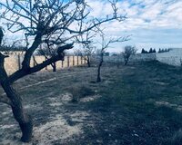 Villa badam 1 otaq , Abşeron rayonu