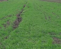 Xaçmaz rayonu çaxmaqlı 150 sot , Xaçmazda