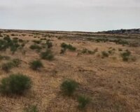 Duzlu gölə yaxın, 230 sot , Abşeron rayonu