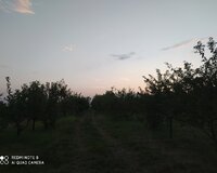 Xaçmaz Serkerli Kendi 100 sot , Xaçmazda