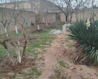 Novxani Erazisi 6 otaq , Abşeron rayonu