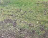 Füzuli rayonu, Mahmudlu kəndi 22 sot , Fizulidə