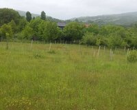 Ismayilli rayon 50 sot , İsmayıllıda