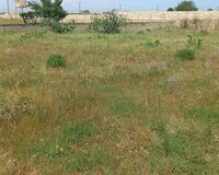 Türkan qəsəbəsi 1 otaq , Abşeron rayonu