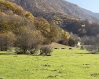 Baş Daş-ağıl kəndi 12 sot , Oğuzda