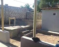 Bilgəh bağ massivi,Həzi Aslanov küç 48 sot , Sabunçu rayonu